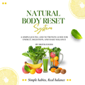 Natural Body Reset System (Digital Guide)